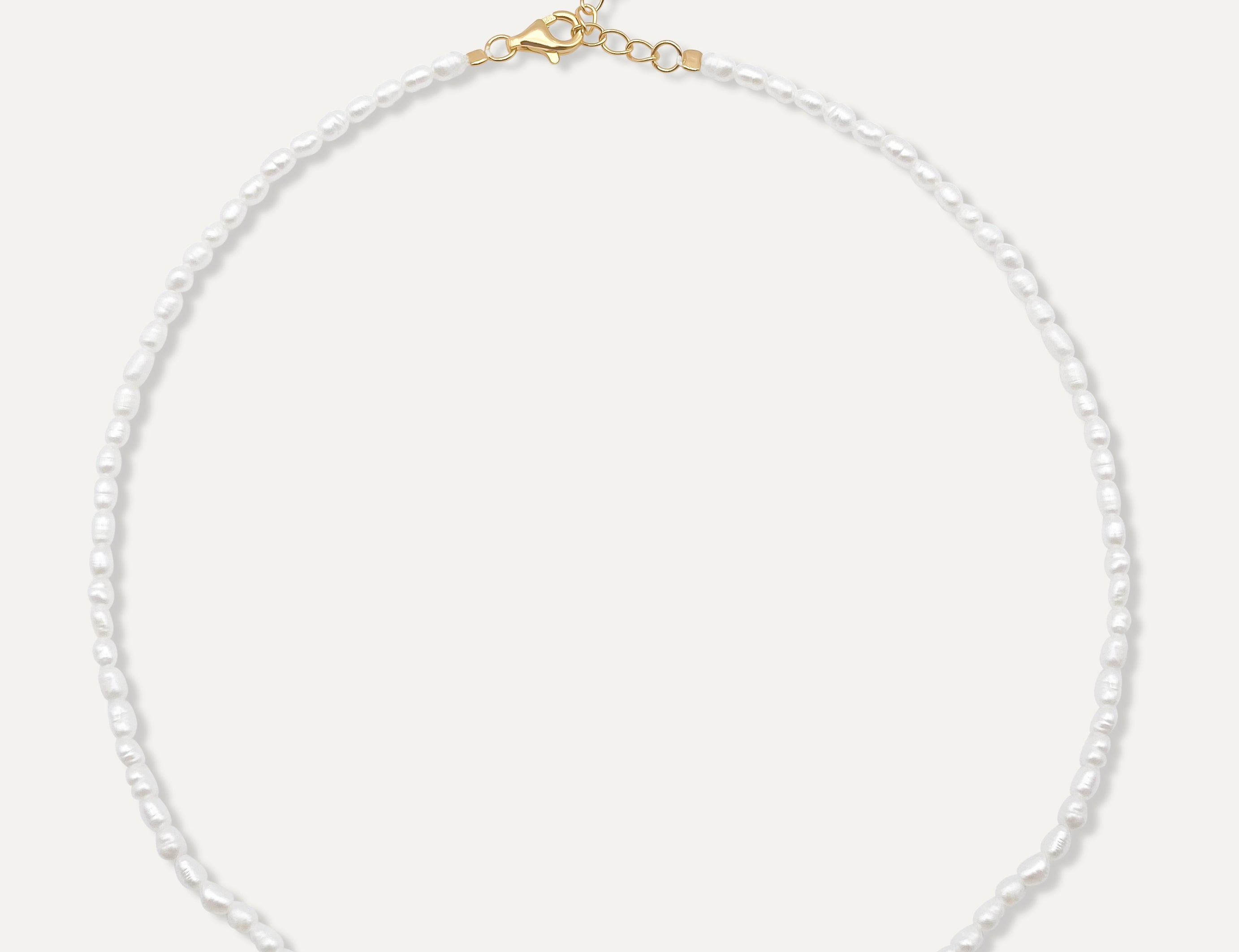 Perla Chocker Necklace